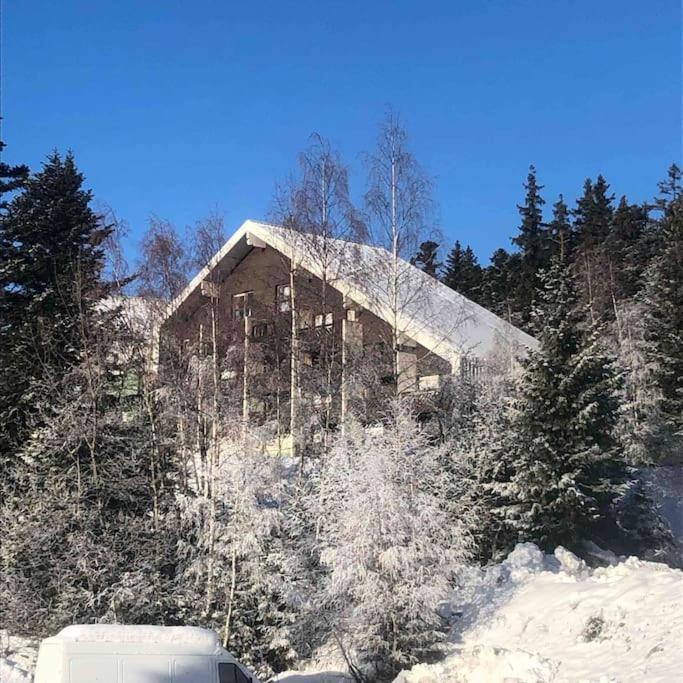 Residence Les Martinets, Grand Studio Vue Degagee, 4 Couchages, Cellier, Meuble De Tourisme 3 Etoiles, Parking Gratuit Chamrousse Exterior photo