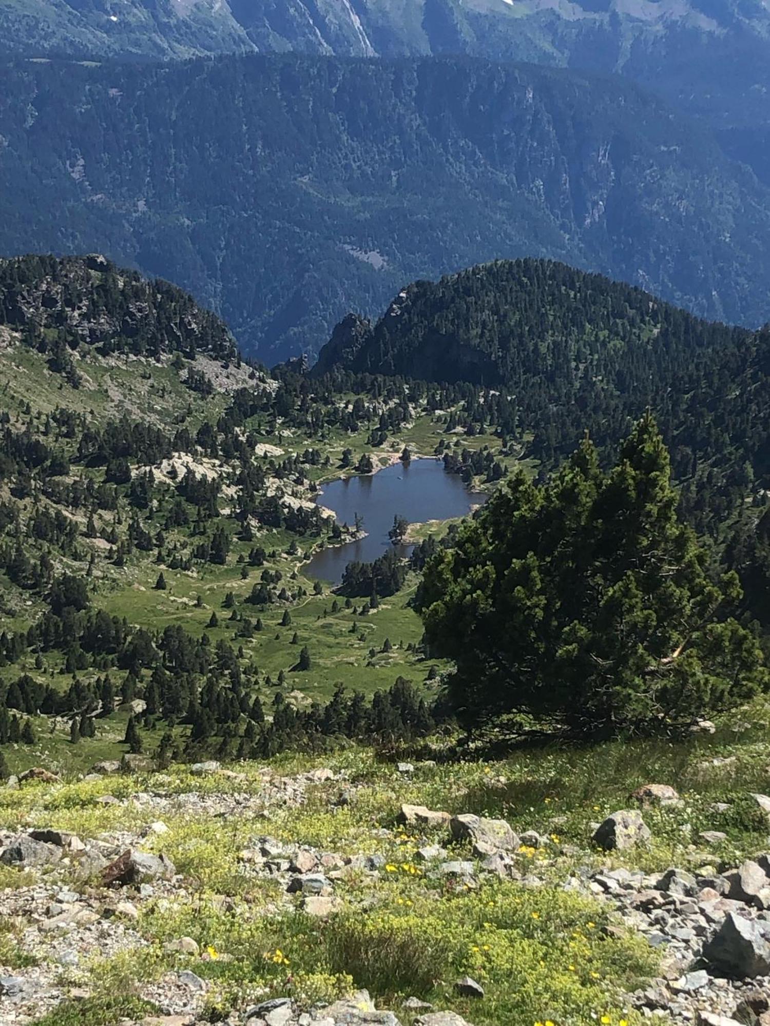 Residence Les Martinets, Grand Studio Vue Degagee, 4 Couchages, Cellier, Meuble De Tourisme 3 Etoiles, Parking Gratuit Chamrousse Exterior photo